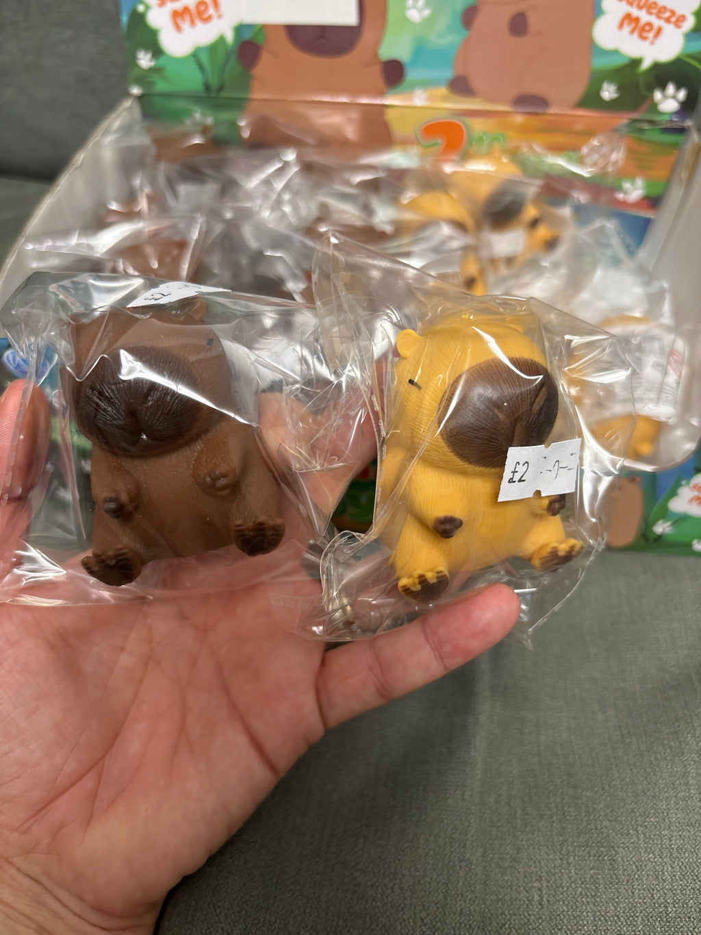Squeezy capybara