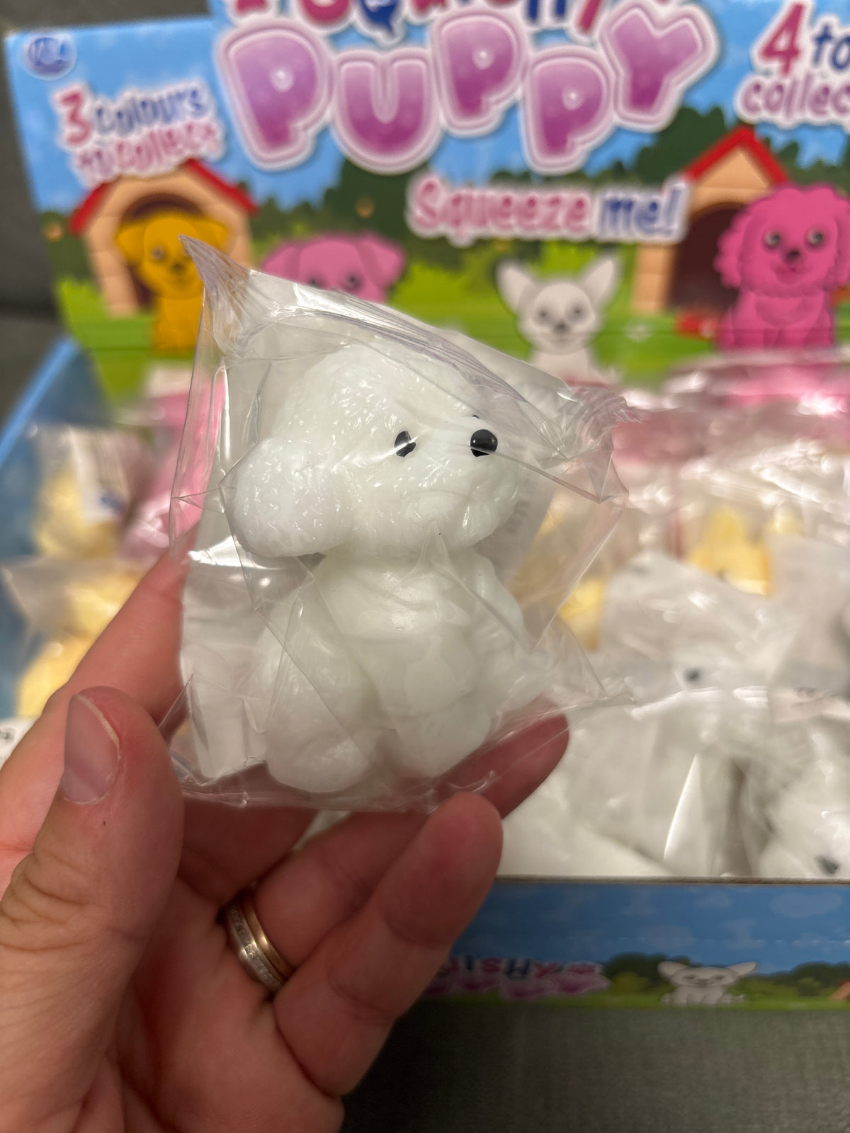 Squishy puppy